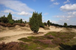 0524-casita-luna-midden-drenthe-03-600