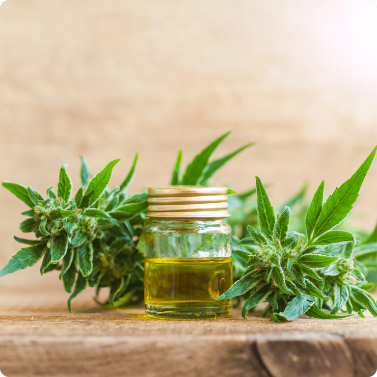 Wat zijn de voordelen van Cbd olie en hoe gebruik je het? Discussie? Tumultdebat! Wat zijn de voordelen van Cbd olie en hoe gebruik je het? Discussie? Tumultdebat!